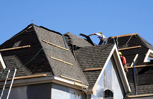 Best Roof Gutter Cleaning  in Brielle, NJ